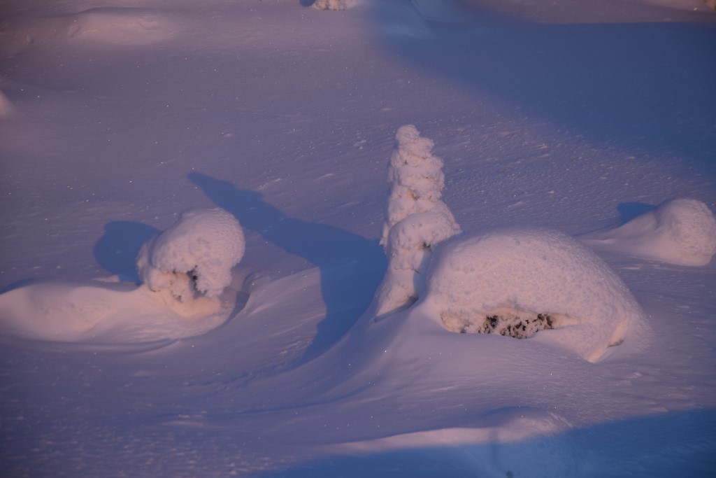 DSC_0106.jpg
