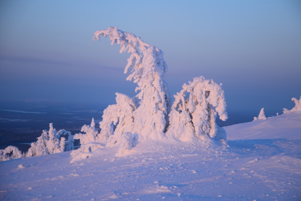 DSC_0108.jpg