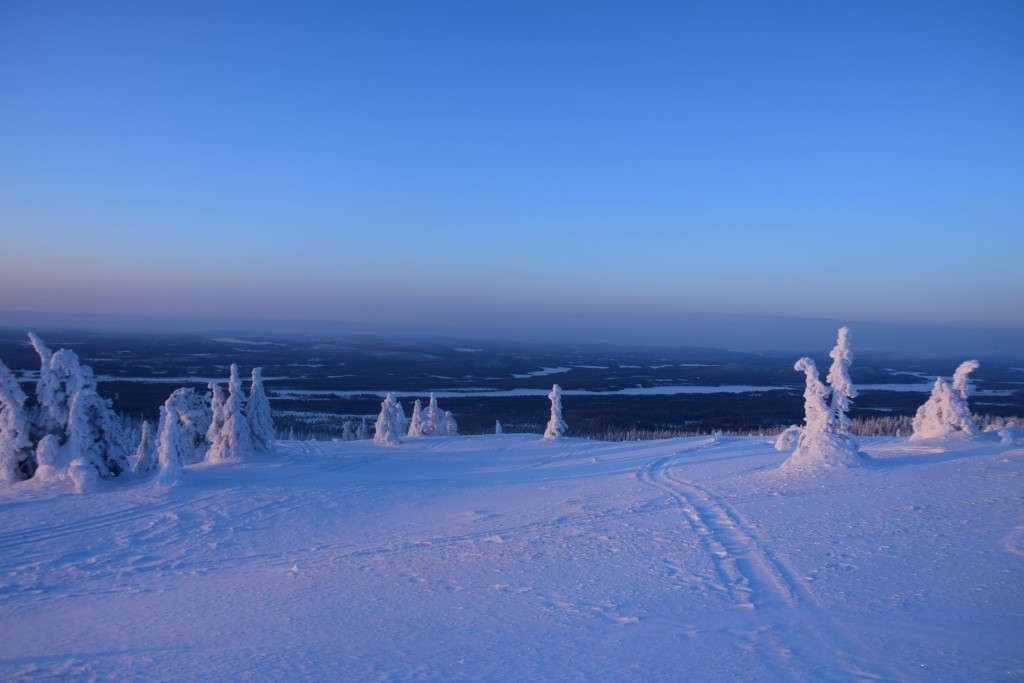 DSC_0112.jpg