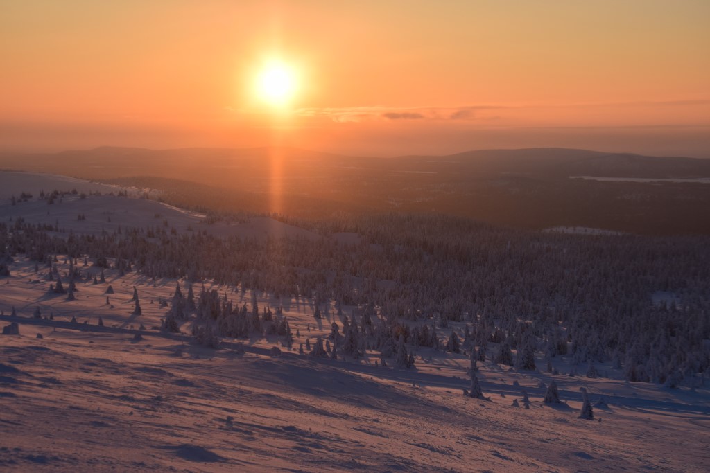 DSC_0118.jpg