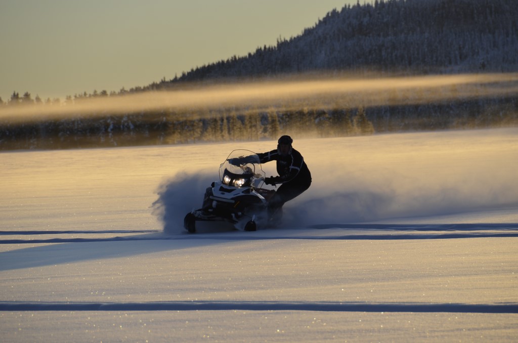 DSC_0132.jpg