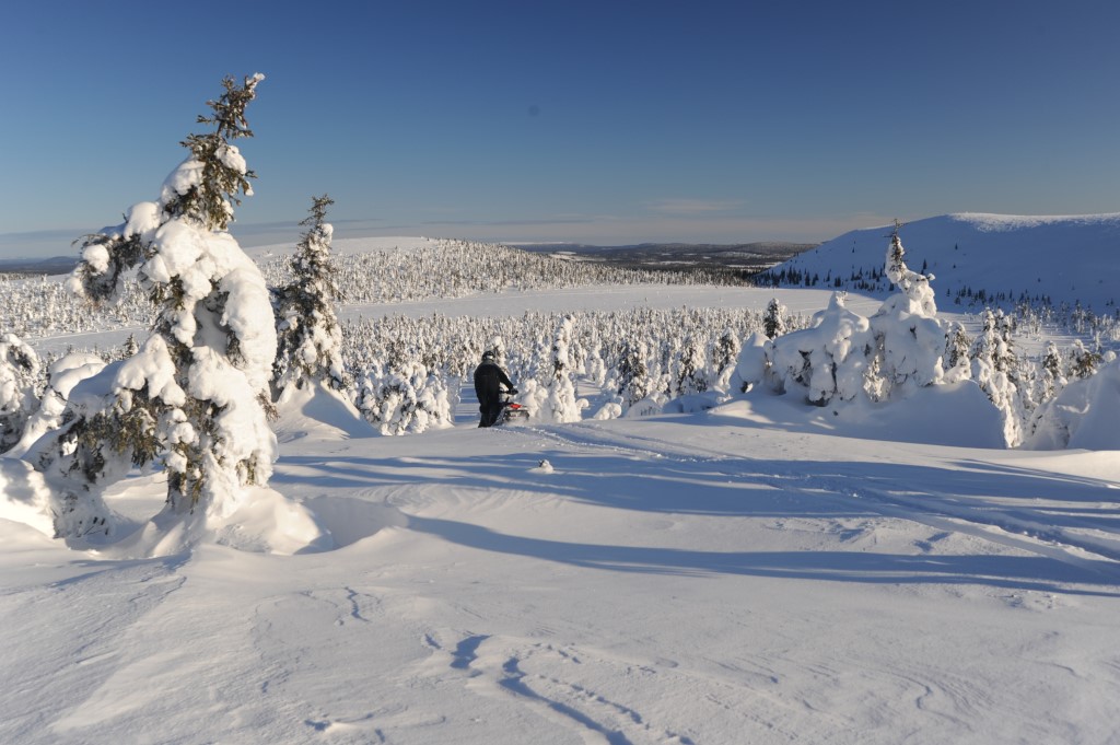 DSC_0136.jpg