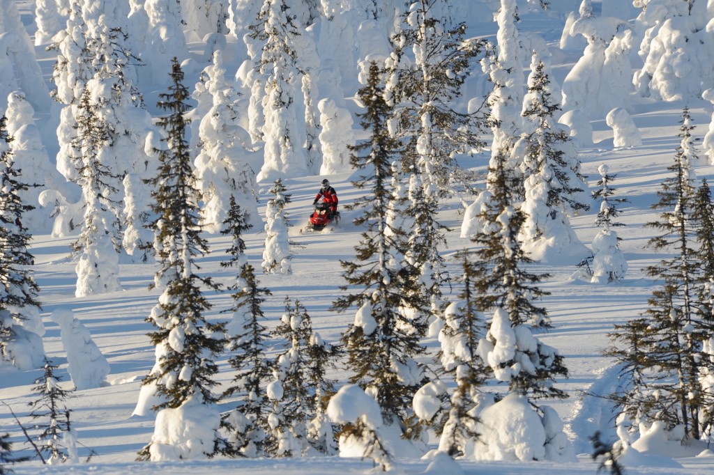 DSC_0137.jpg