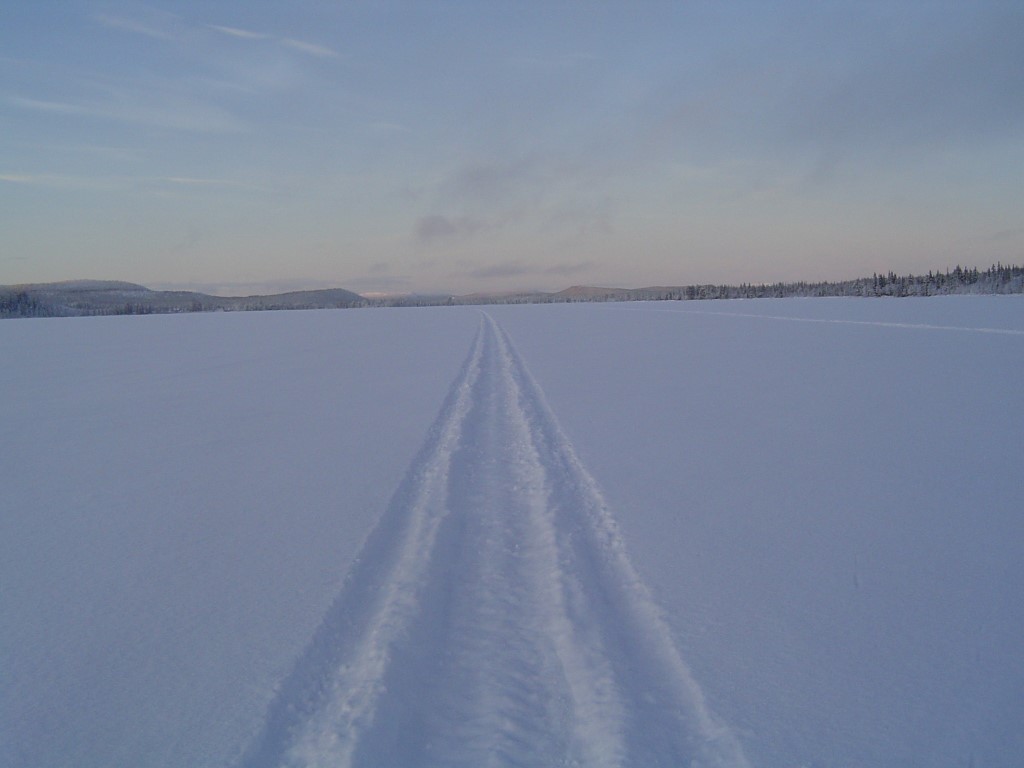 DSC_0140.jpg