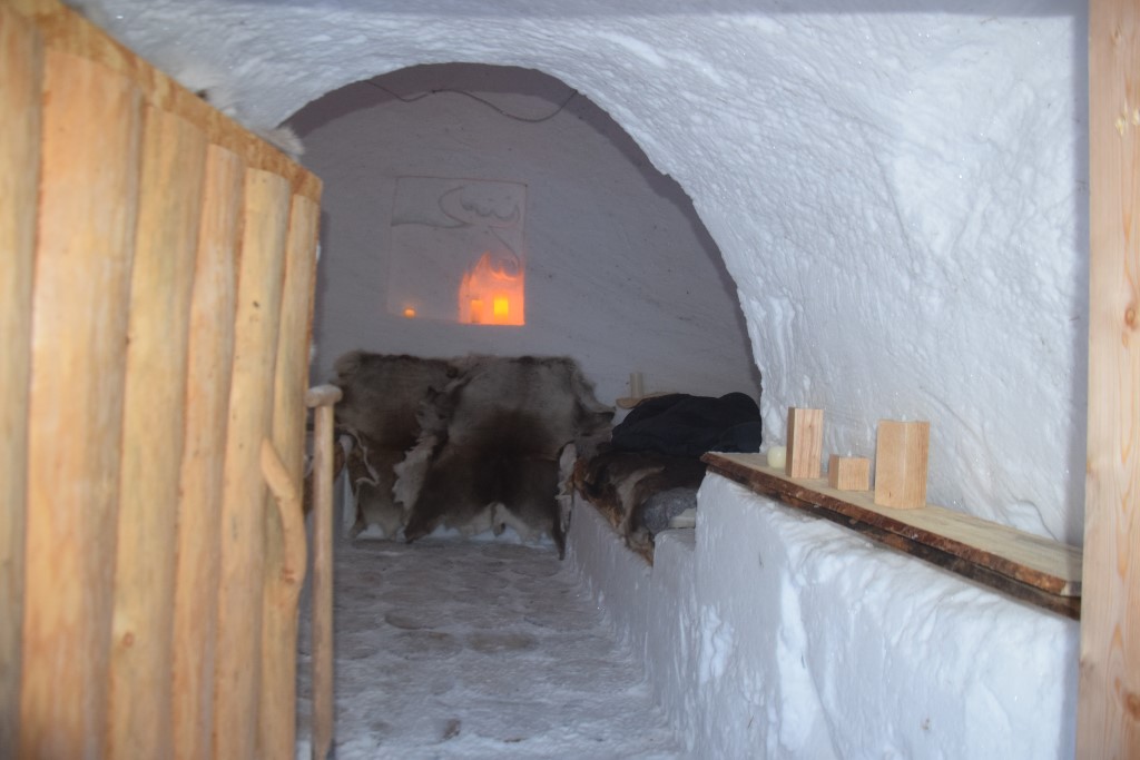 DSC_0320.jpg
