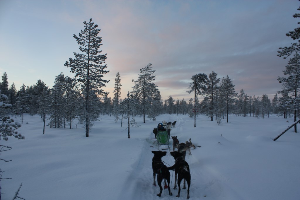 DSC_0375.jpg