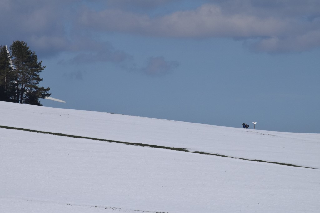 DSC_0064.jpg