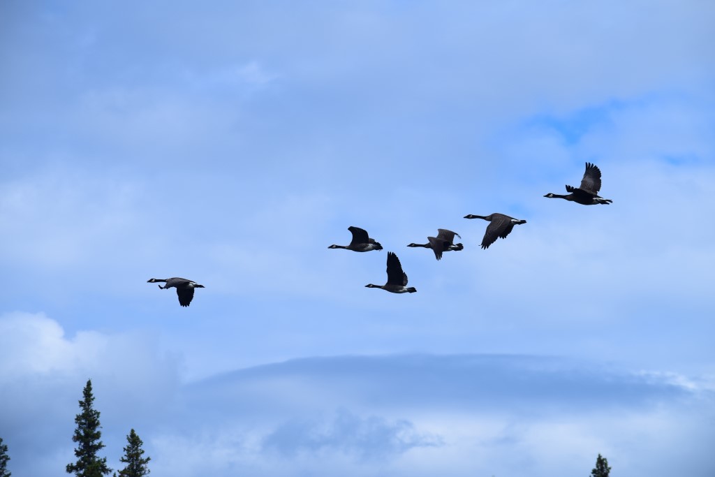 DSC_00069.jpg