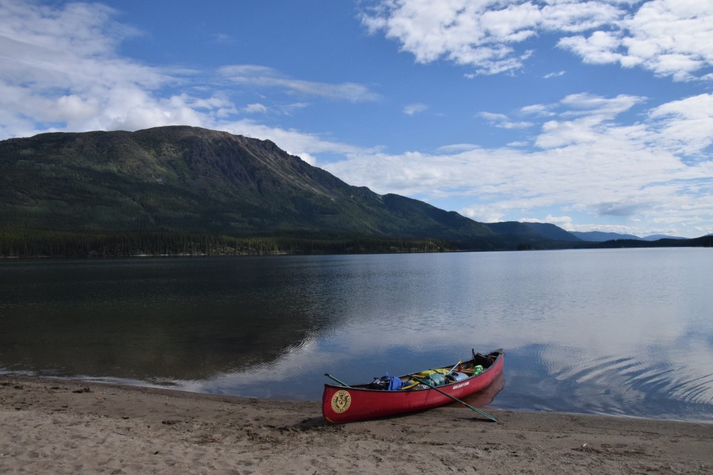 DSC_00081.jpg