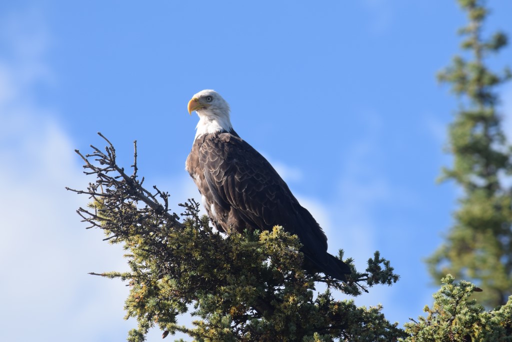 DSC_00214.jpg