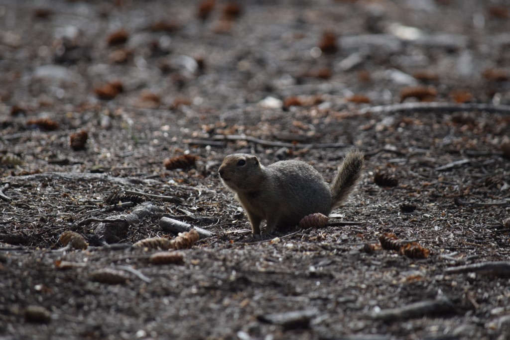 DSC_00302.jpg