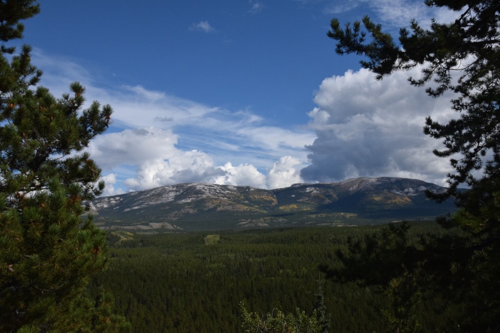 DSC_00339.jpg