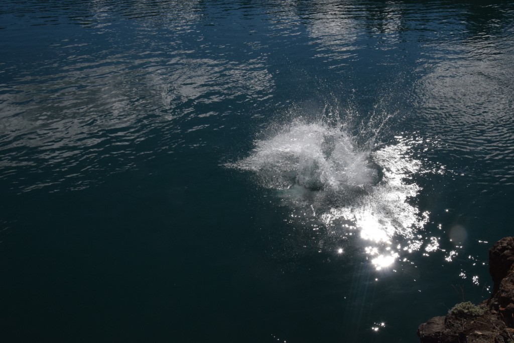 DSC_00396.jpg