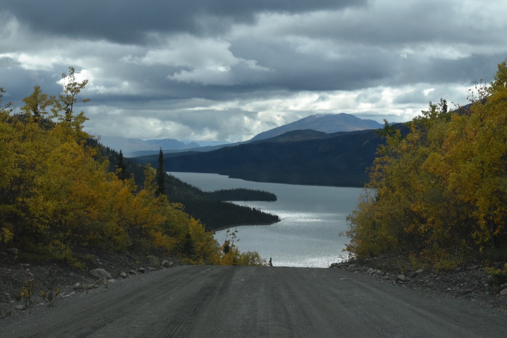 DSC_00465.jpg