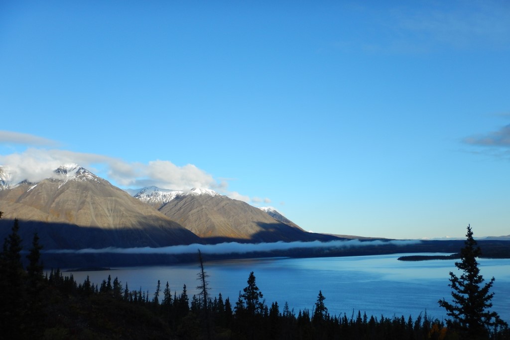 DSC_01042.jpg
