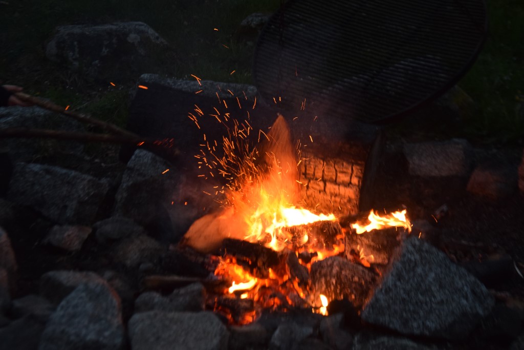 DSC_0500.jpg