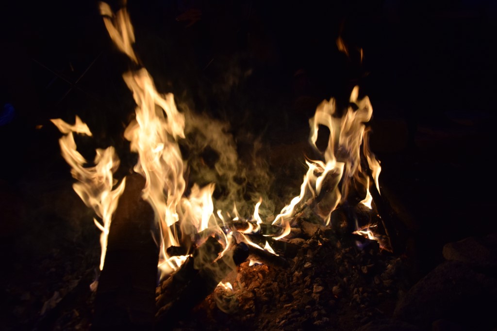 DSC_0869.jpg