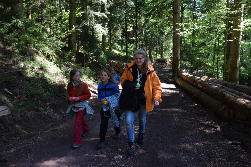 DSC_0936.jpg