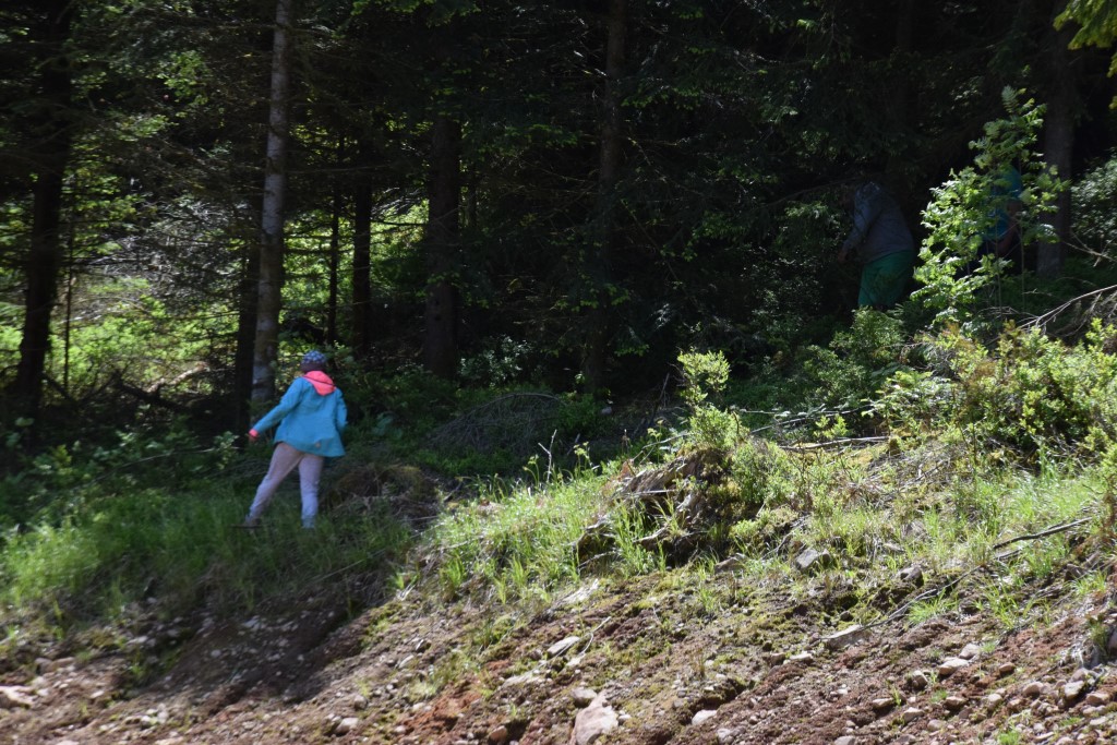 DSC_0973.jpg