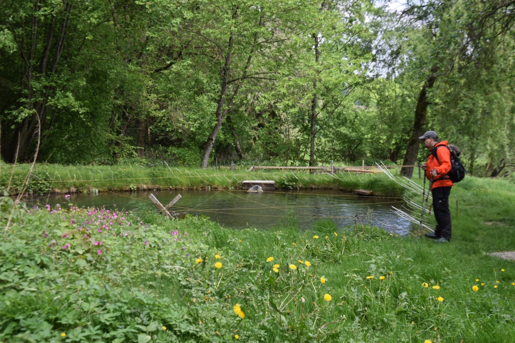 DSC_1227.jpg